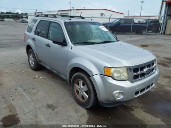  Salvage Ford Escape