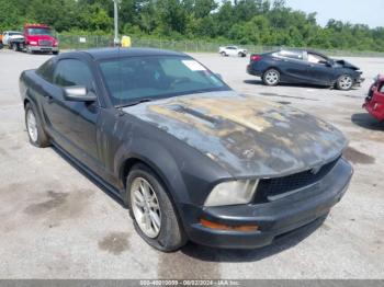  Salvage Ford Mustang