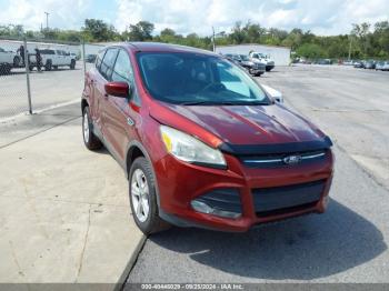  Salvage Ford Escape