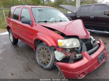  Salvage Ford Escape