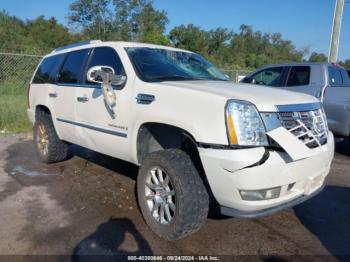  Salvage Cadillac Escalade