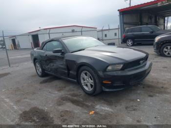  Salvage Ford Mustang