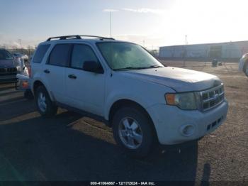  Salvage Ford Escape