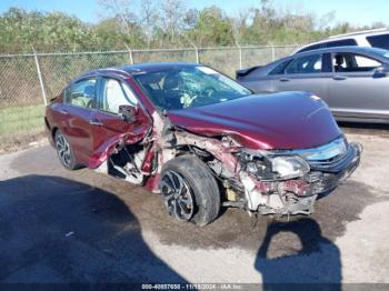  Salvage Honda Accord