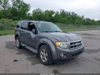  Salvage Ford Escape