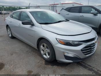  Salvage Chevrolet Malibu