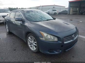  Salvage Nissan Maxima