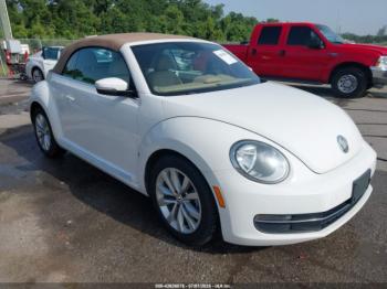  Salvage Volkswagen Beetle