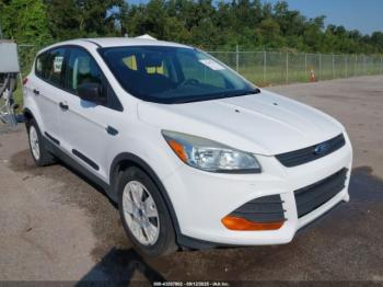  Salvage Ford Escape
