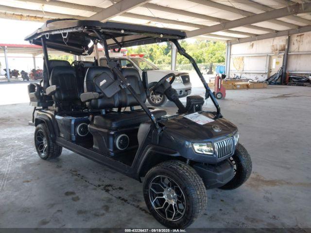  Salvage Evolution Electric Cart