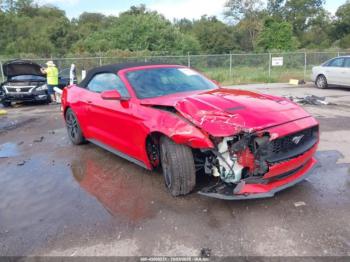  Salvage Ford Mustang