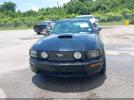 Ford Mustang Image 3