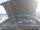 Ford F-150 Fx4 Image 7