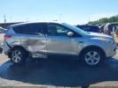 Ford Escape Se Image 5