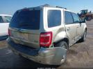 Ford Escape Limited Image 5