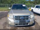 Ford Escape Limited Image 2