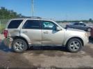 Ford Escape Limited Image 12
