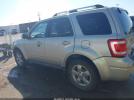 Ford Escape Limited Image 9