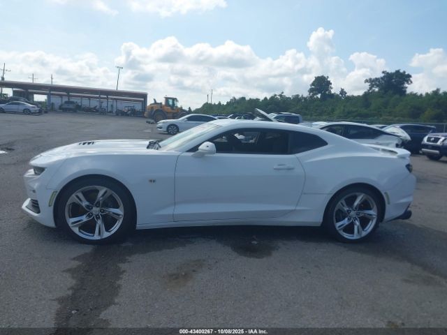 Chevrolet Camaro Rwd  1ss Image 12