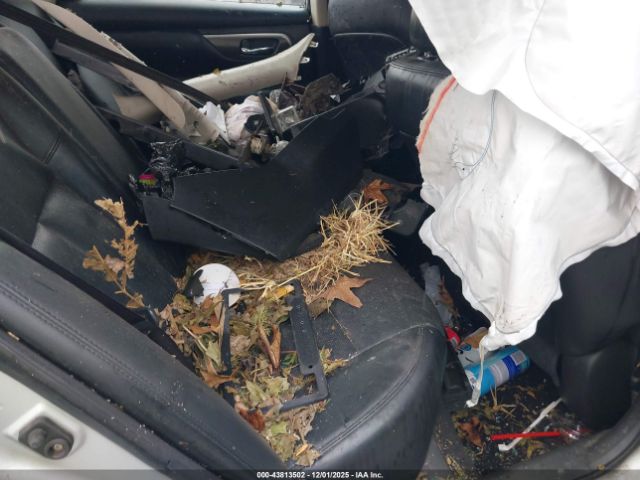 Nissan Altima 2.5 Sl Image 7