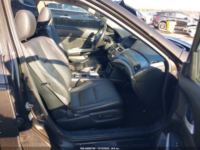 Honda Crosstour Ex-l V6 Image 2