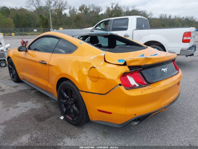 Ford Mustang Ecoboost Image 6