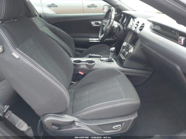 Ford Mustang Ecoboost Image 9