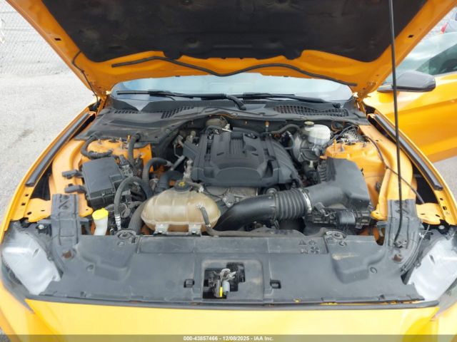 Ford Mustang Ecoboost Image 8