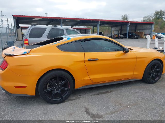 Ford Mustang Ecoboost Image 11