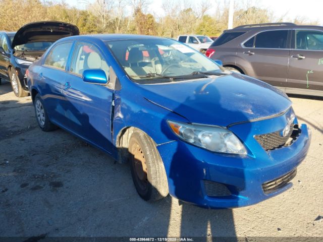 Toyota Corolla Image 1