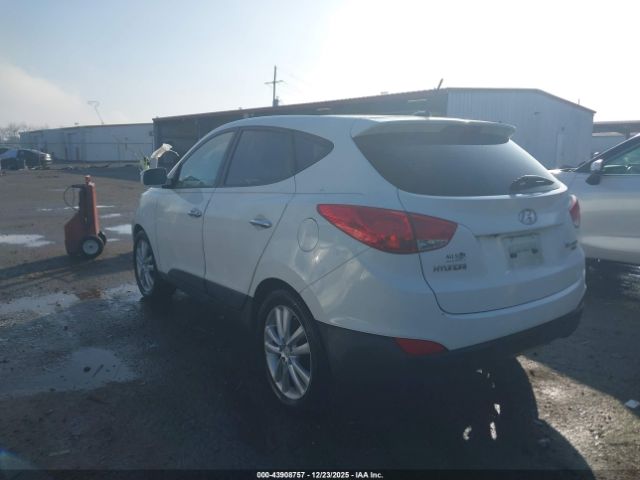 Hyundai TUCSON Limited Image 6