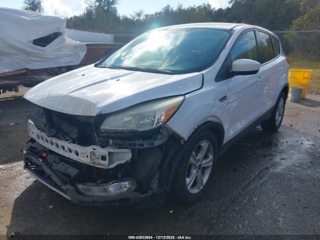 Ford Escape Se Image 11