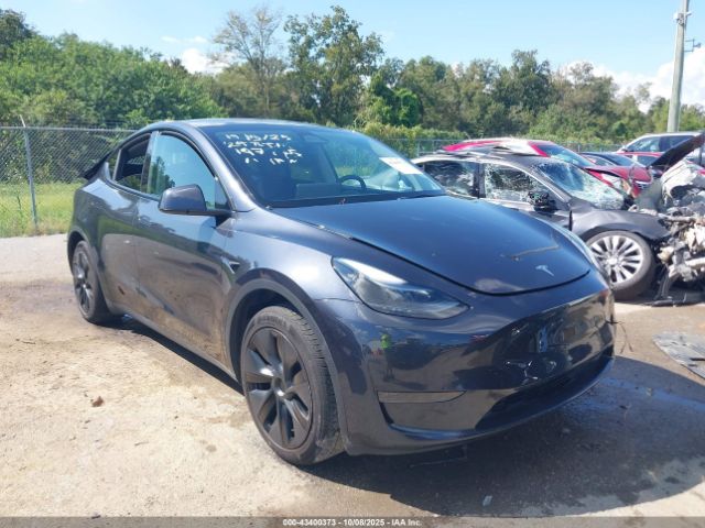 Tesla Model Y Image 1
