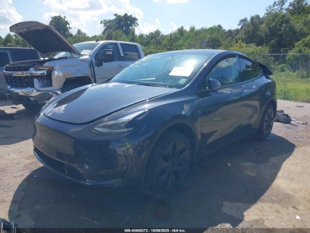 Tesla Model Y Image 3