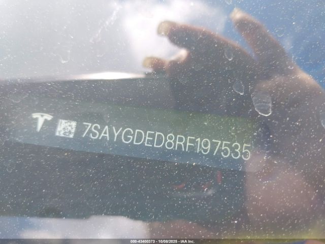 Tesla Model Y Image 4