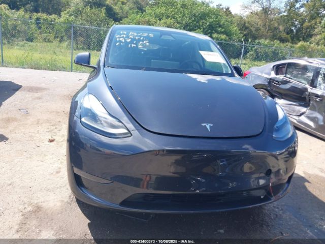 Tesla Model Y Image 8