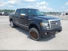 Ford F-150 Platinum Image 1