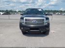 Ford F-150 Platinum Image 3