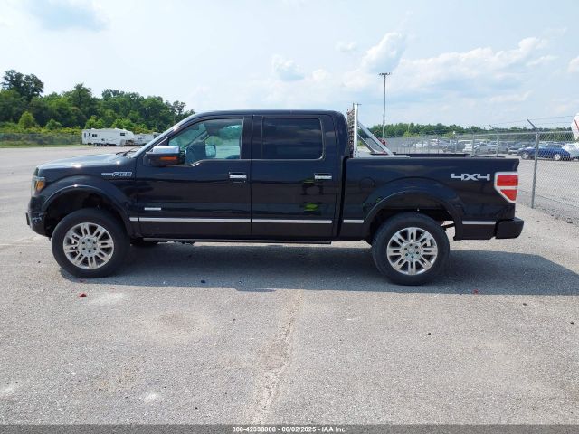 Ford F-150 Platinum Image 13